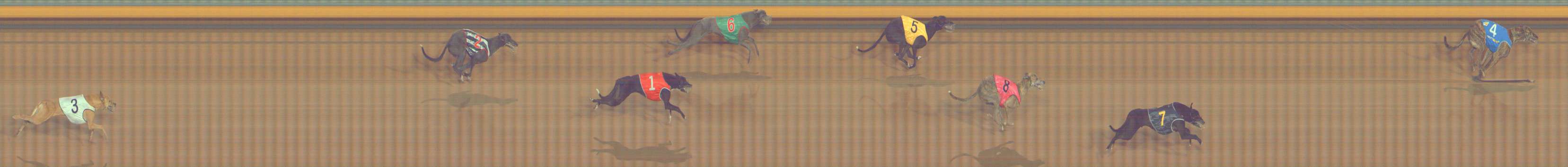 Photo finish for Bendigo Race 8