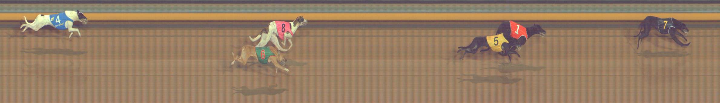 Photo finish for Bendigo Race 9