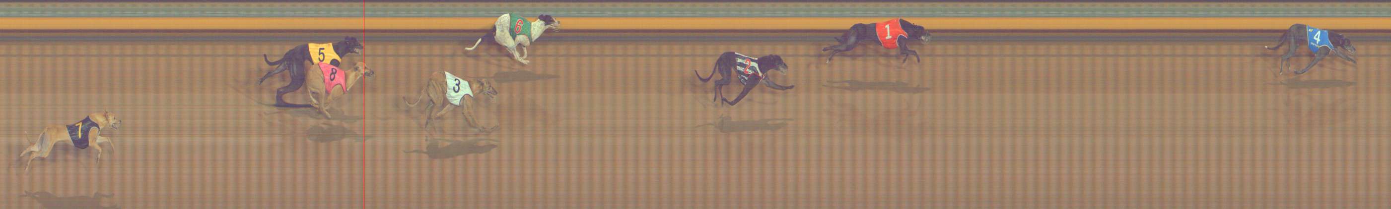 Photo finish for Bendigo Race 10