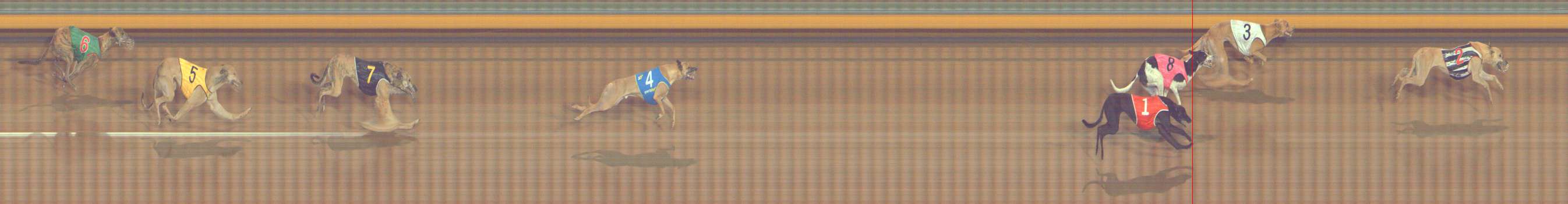 Photo finish for Bendigo Race 12