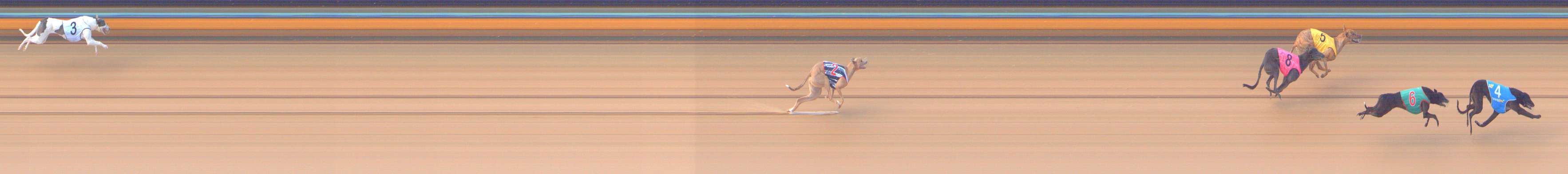 Photo finish for Bendigo Race 3