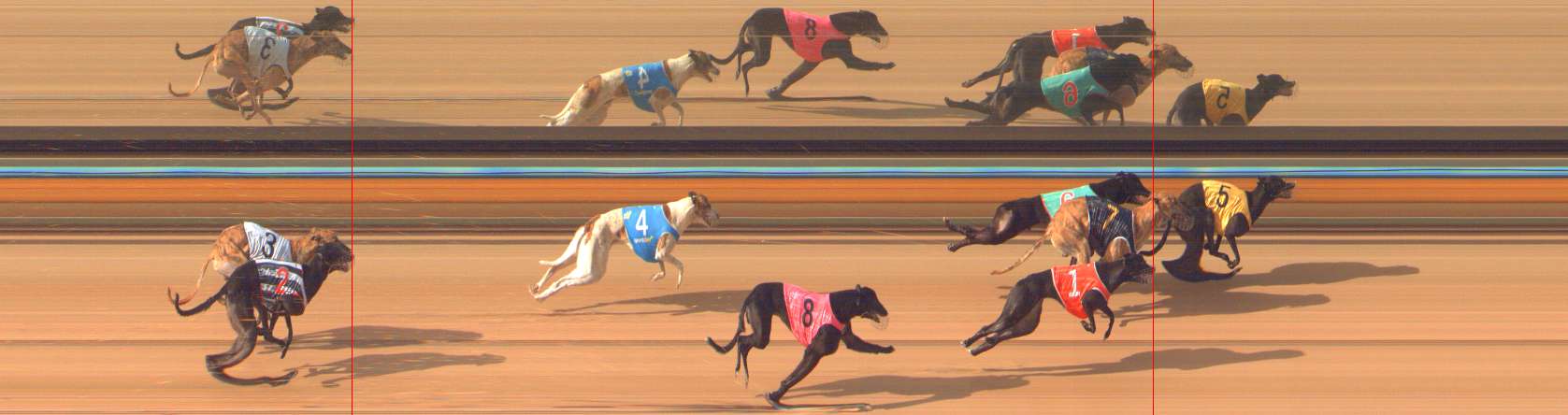 Photo finish for Bendigo Race 5