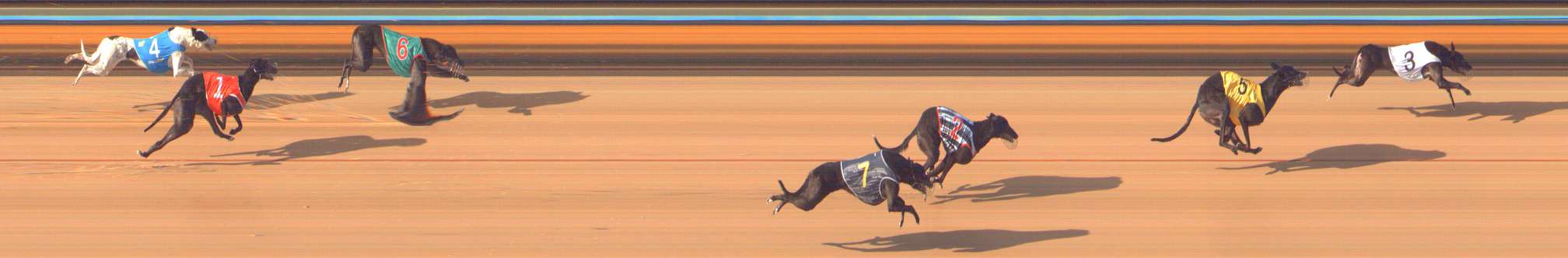 Photo finish for Bendigo Race 6