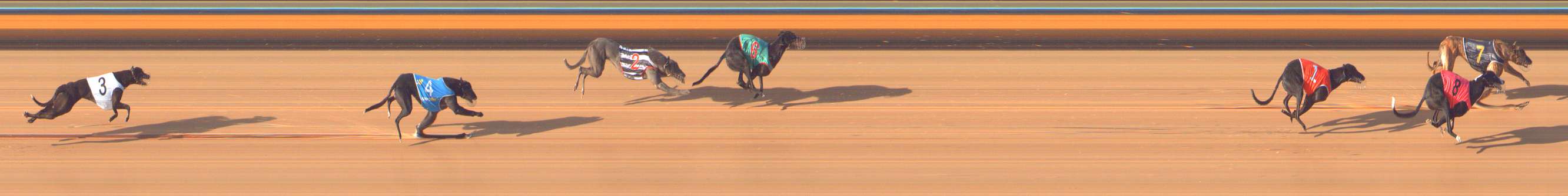 Photo finish for Bendigo Race 7
