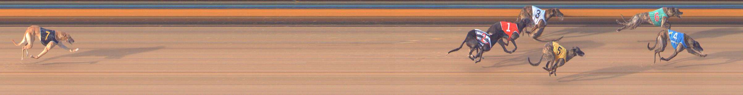 Photo finish for Bendigo Race 8