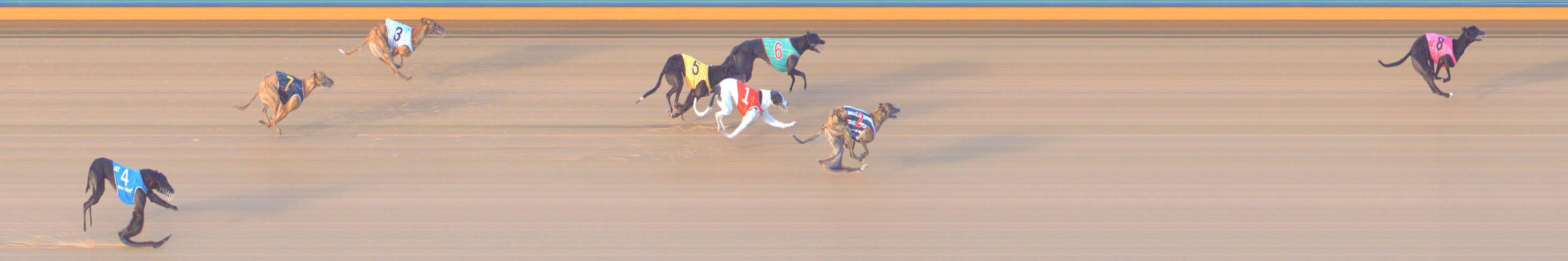 Photo finish for Bendigo Race 9