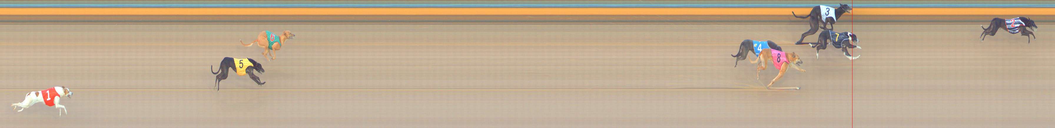 Photo finish for Bendigo Race 11