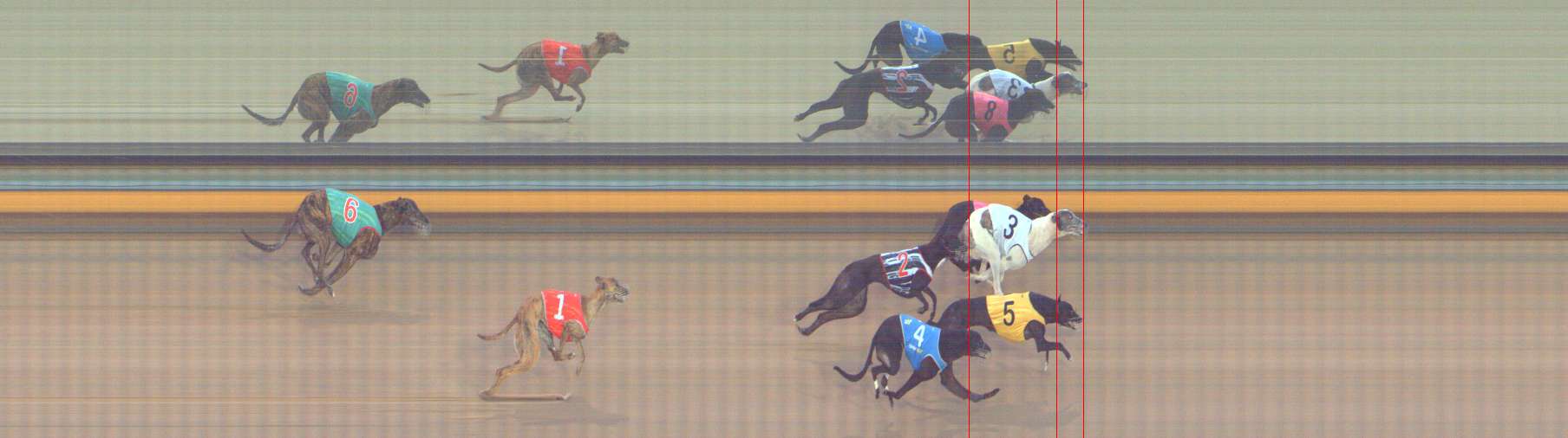 Photo finish for Bendigo Race 12