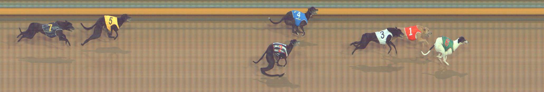 Photo finish for Bendigo Race 13