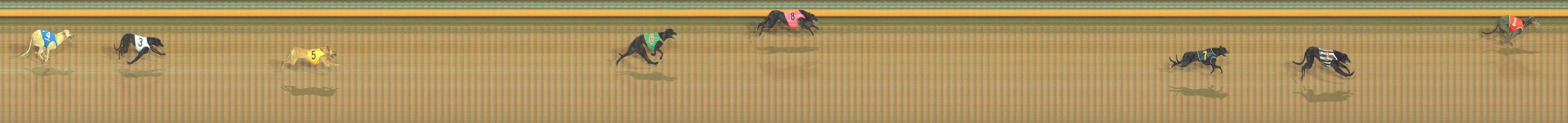 Photo finish for Bendigo Race 1