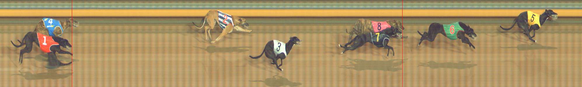 Photo finish for Bendigo Race 2