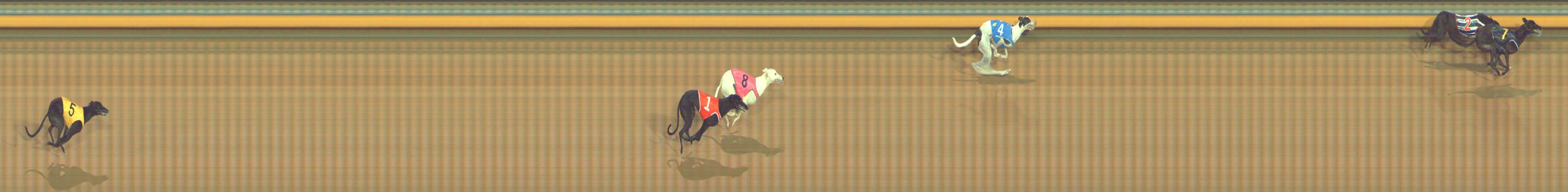 Photo finish for Bendigo Race 3