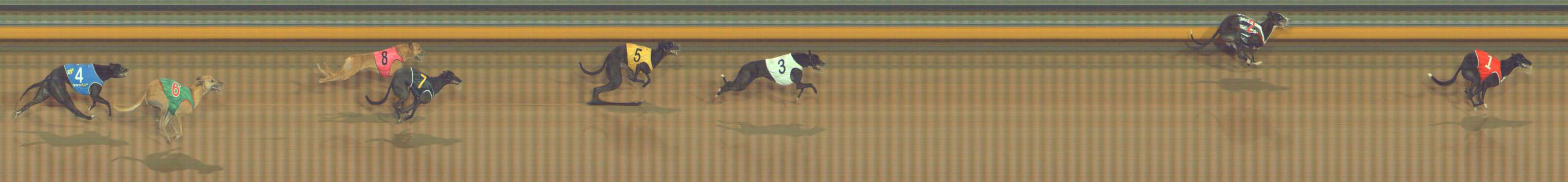 Photo finish for Bendigo Race 6