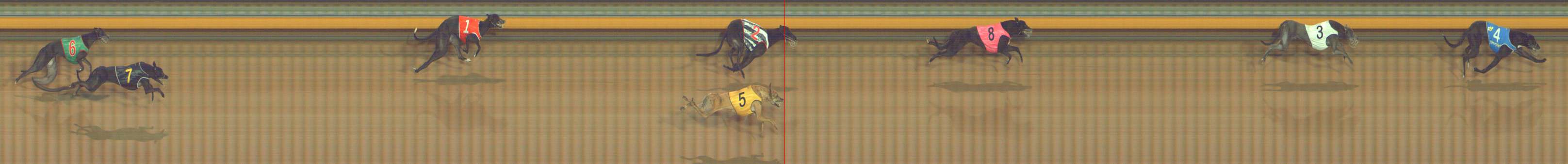 Photo finish for Bendigo Race 7