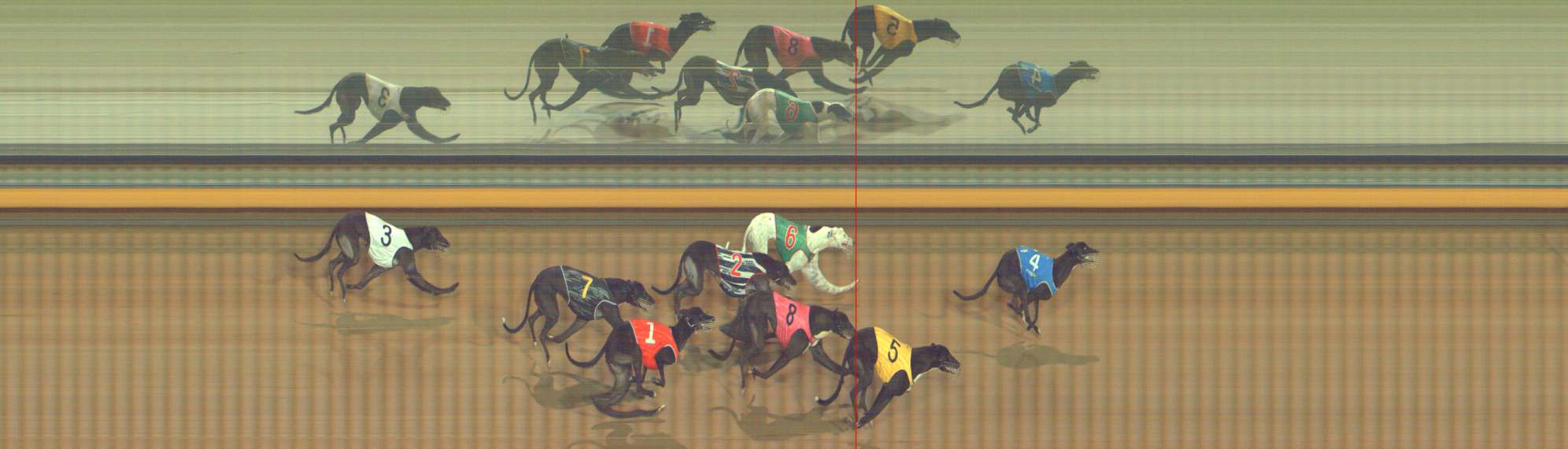 Photo finish for Bendigo Race 8