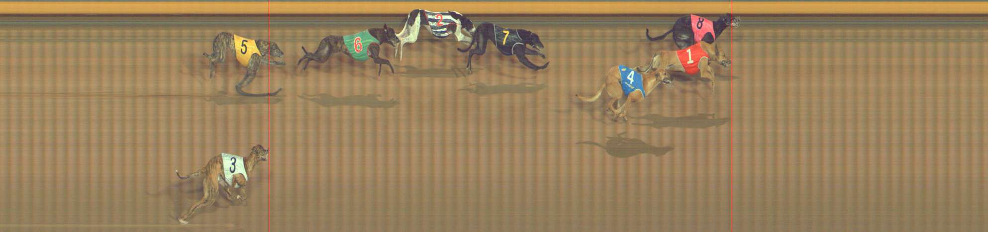 Photo finish for Bendigo Race 11