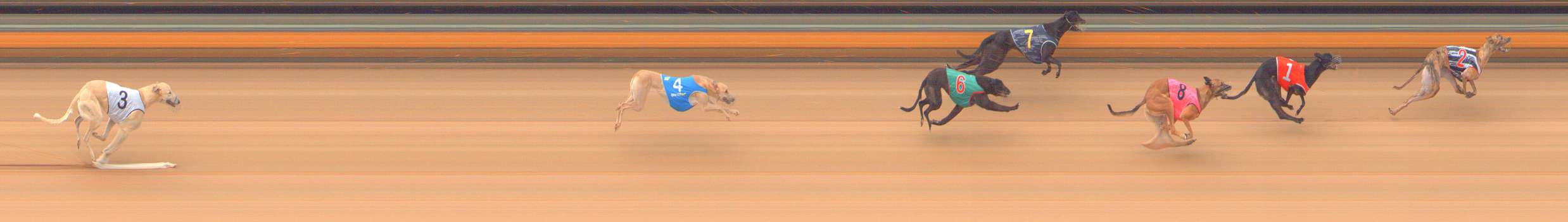 Photo finish for Bendigo Race 1