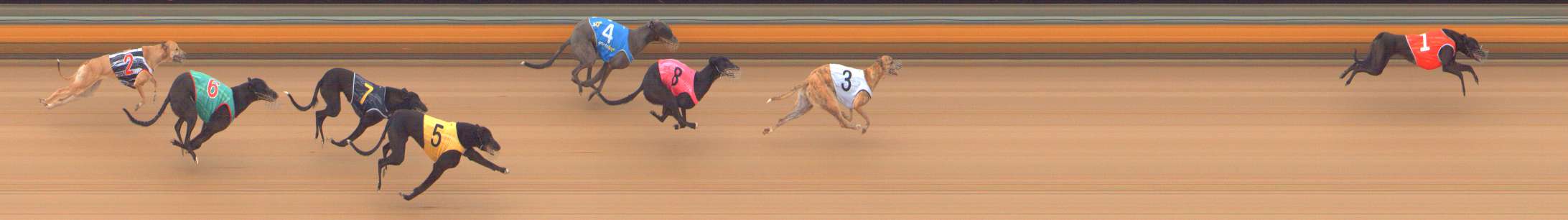 Photo finish for Bendigo Race 2