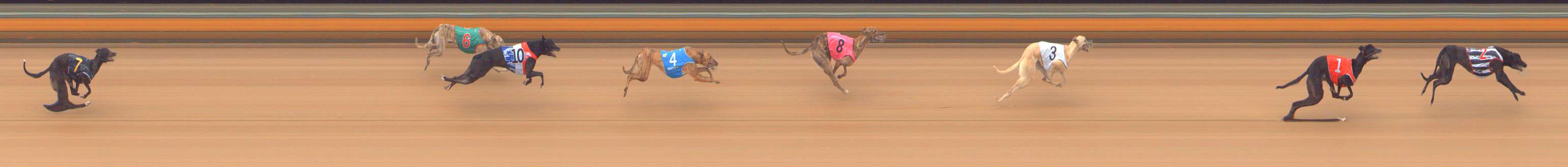Photo finish for Bendigo Race 3