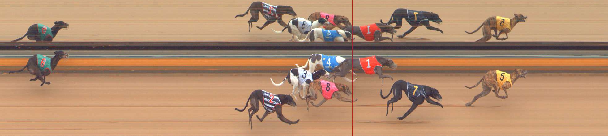 Photo finish for Bendigo Race 5