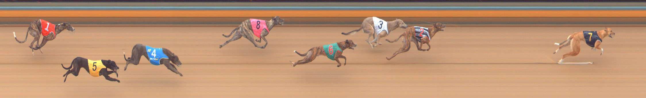 Photo finish for Bendigo Race 7