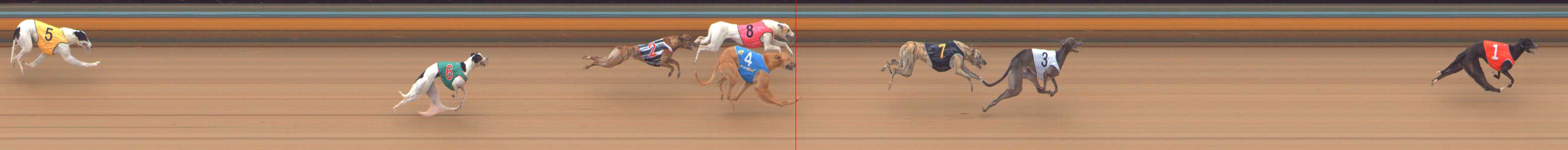 Photo finish for Bendigo Race 8