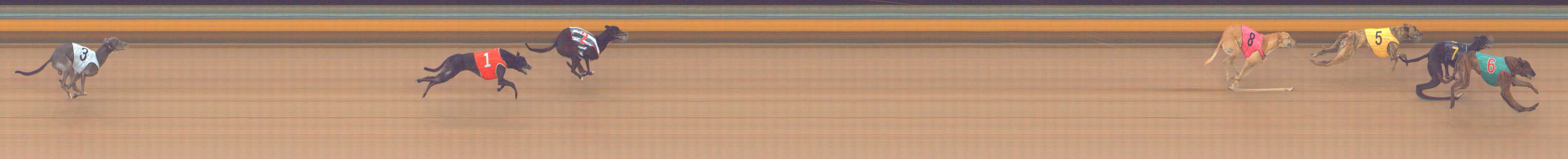 Photo finish for Bendigo Race 10