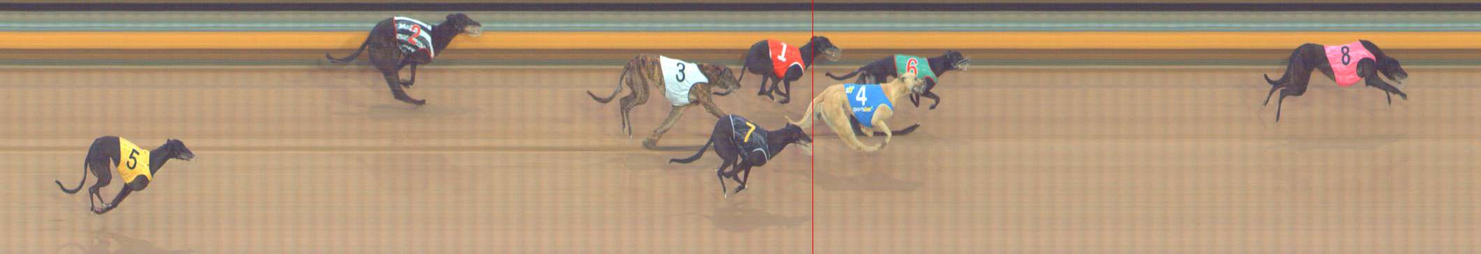 Photo finish for Bendigo Race 12