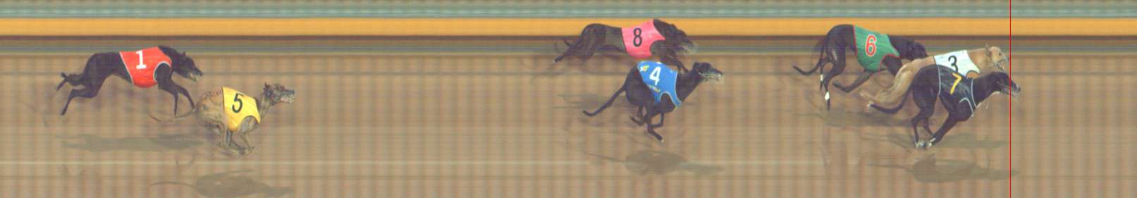 Photo finish for Bendigo Race 13