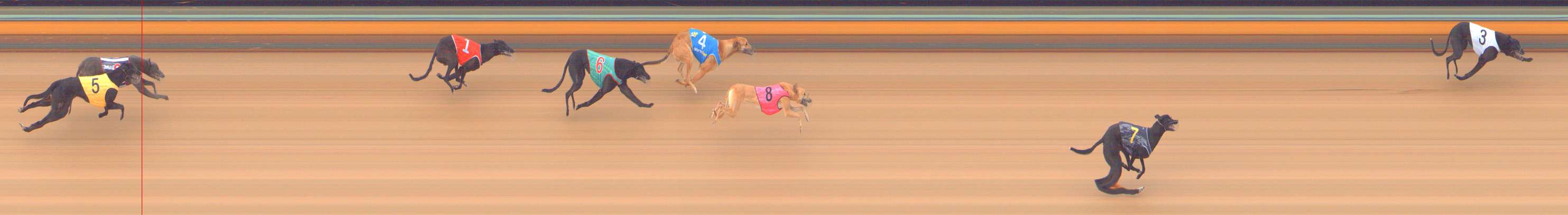 Photo finish for Bendigo Race 1