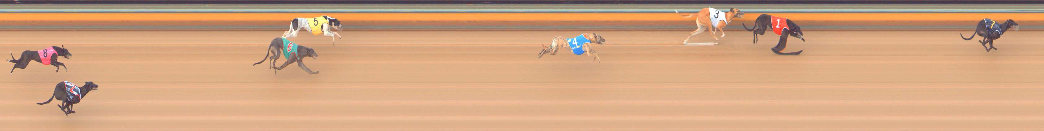 Photo finish for Bendigo Race 2