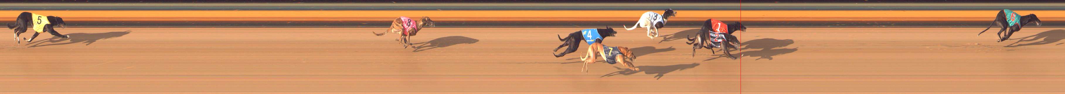 Photo finish for Bendigo Race 3