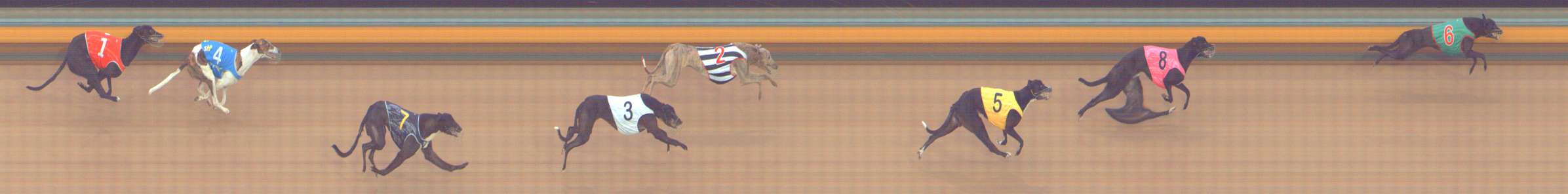 Photo finish for Bendigo Race 7