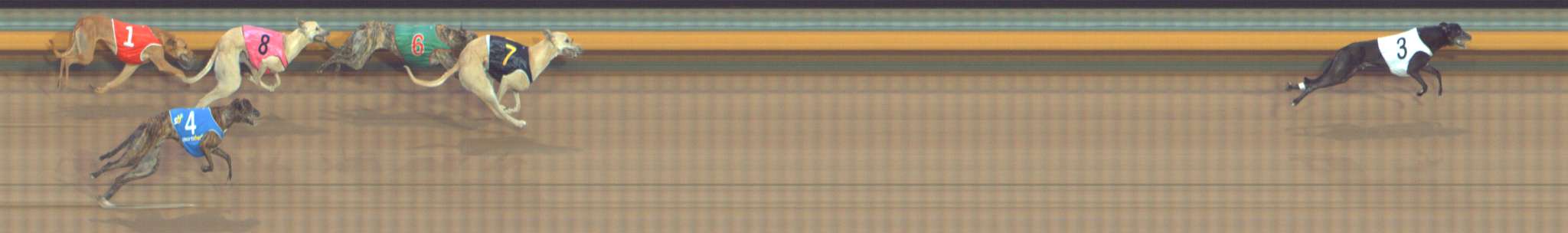 Photo finish for Bendigo Race 8