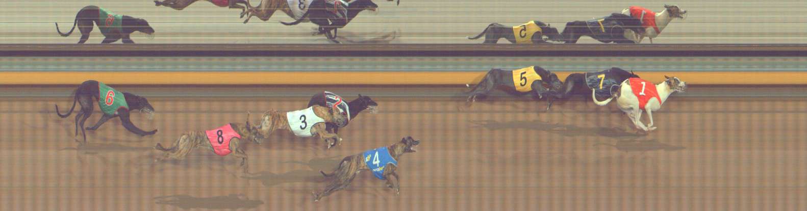 Photo finish for Bendigo Race 9