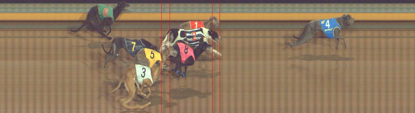 Photo finish for Bendigo Race 10