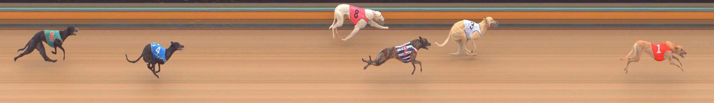 Photo finish for Bendigo Race 1