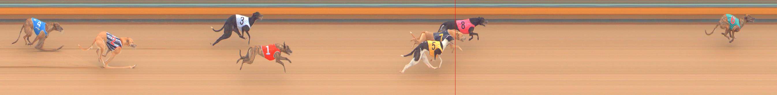 Photo finish for Bendigo Race 2