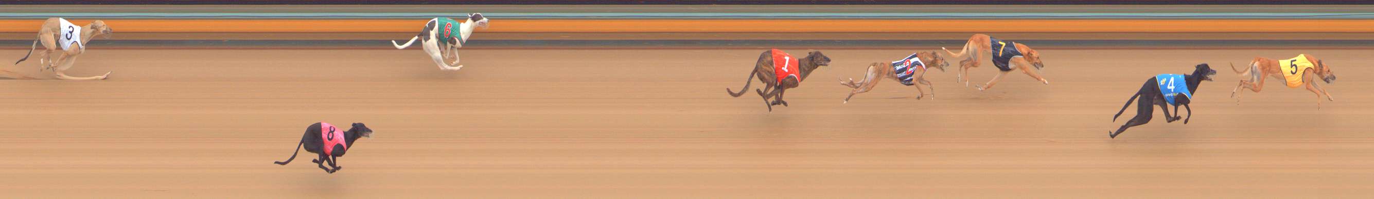 Photo finish for Bendigo Race 4