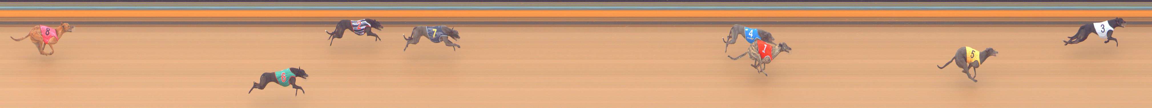 Photo finish for Bendigo Race 5
