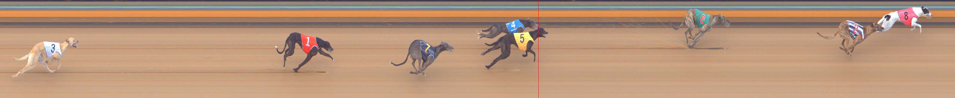 Photo finish for Bendigo Race 8