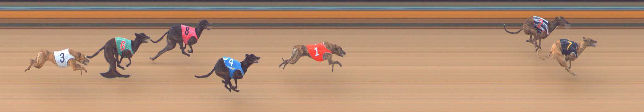 Photo finish for Bendigo Race 9
