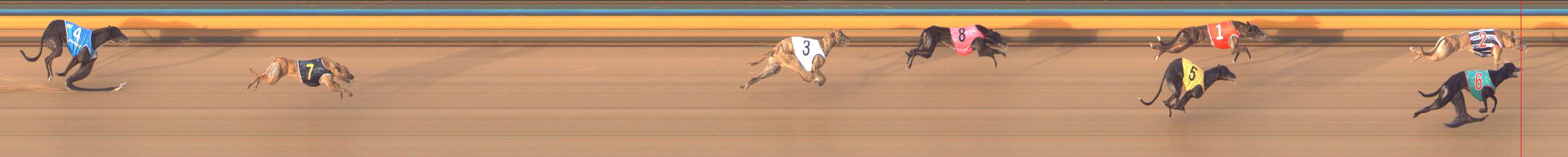 Photo finish for Bendigo Race 11
