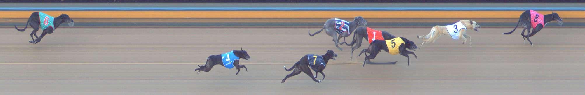 Photo finish for Bendigo Race 12
