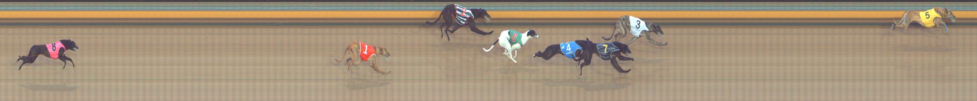 Photo finish for Bendigo Race 13
