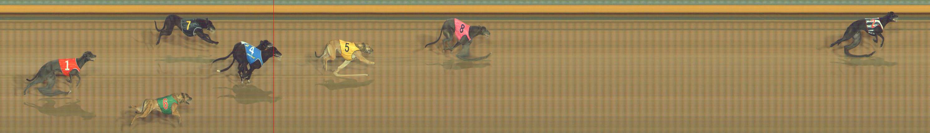 Photo finish for Bendigo Race 1