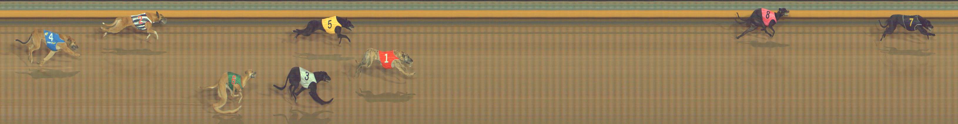 Photo finish for Bendigo Race 2