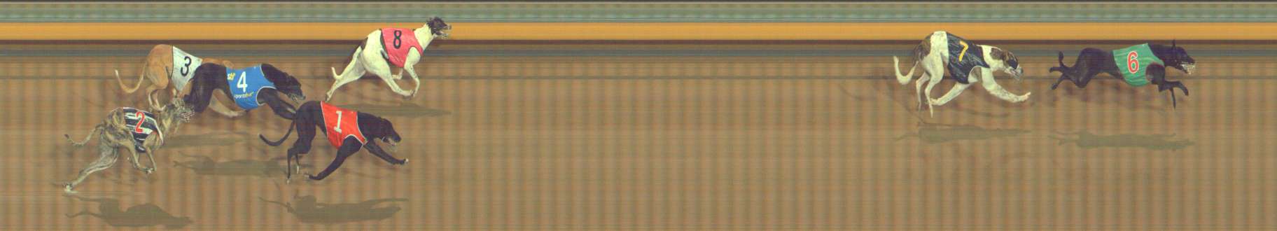 Photo finish for Bendigo Race 3