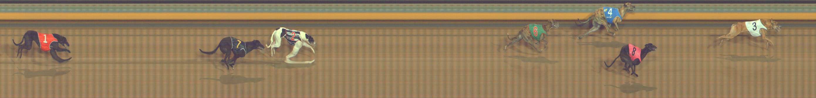 Photo finish for Bendigo Race 4