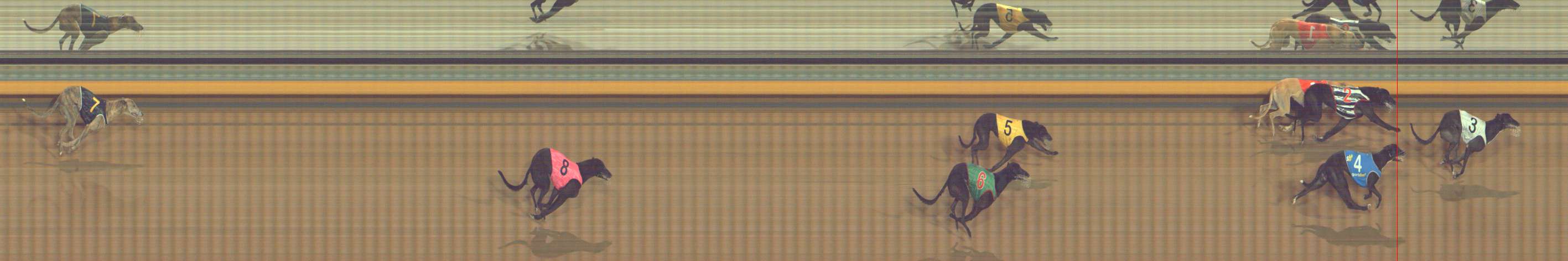 Photo finish for Bendigo Race 8